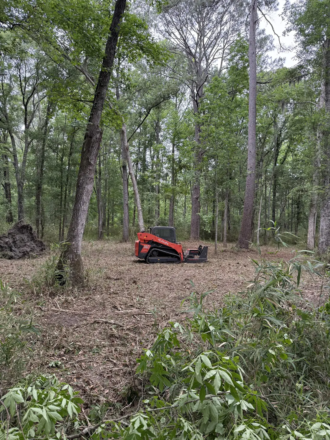 Land Clearing in Goose Creek, SC