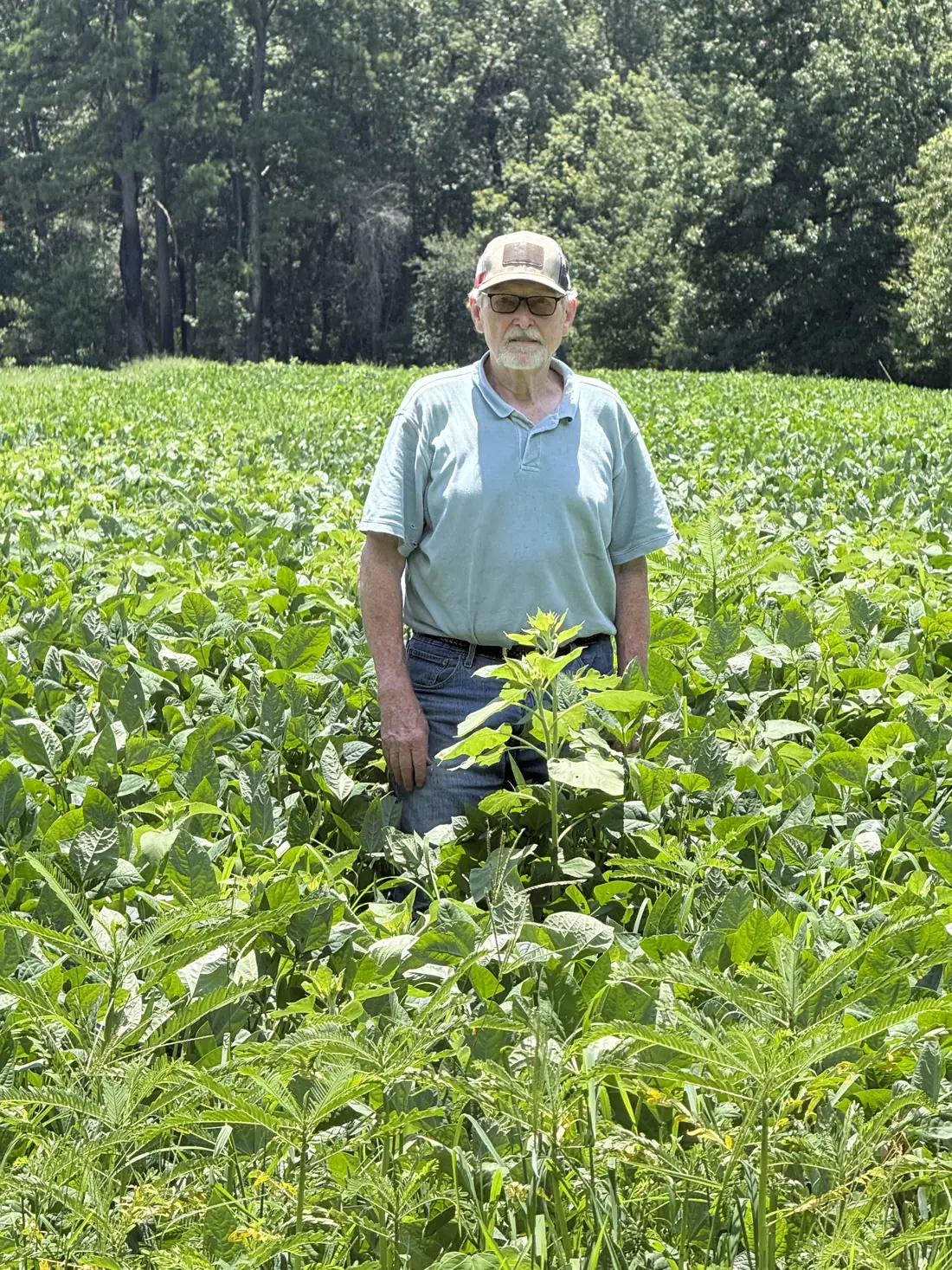 Pasture Reclamation in Charleston, SC
