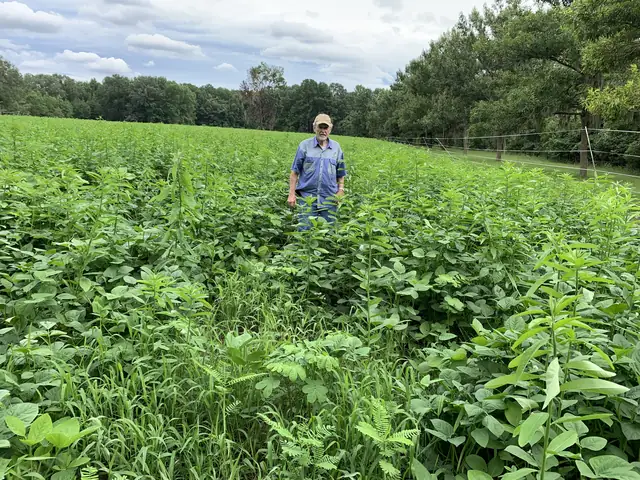 Food Plots in Charleston, SC